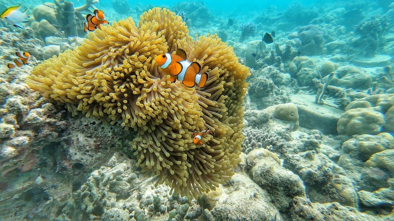 Kimo Resort Pulau Banyak Aceh Singkil Alaban Экстерьер фото